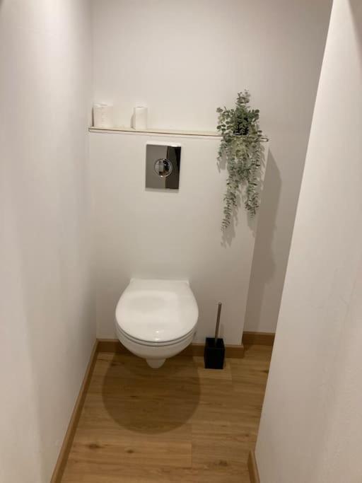 Appartement Chaleureux Proche Centre 克莱蒙费朗 外观 照片